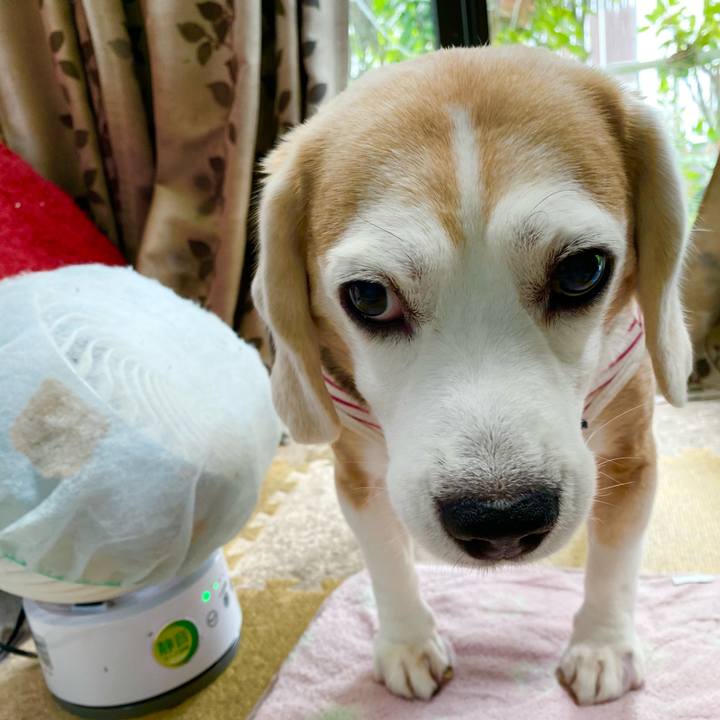 600dc3fe 2dac 4d3e a432 f2ef9917cd82 1624334155820