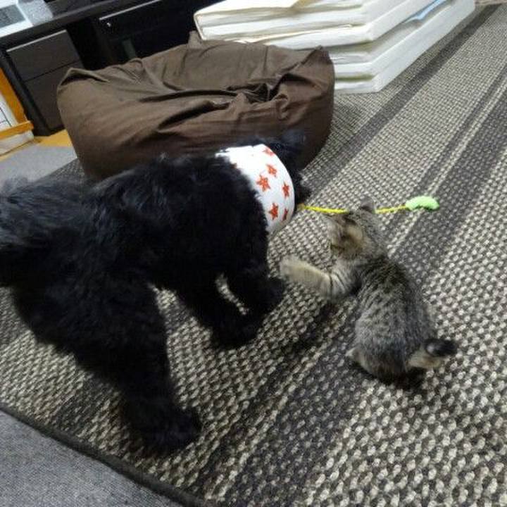 600e4710 1a88 4450 bbc8 e3f1b5655df8 1526529542448