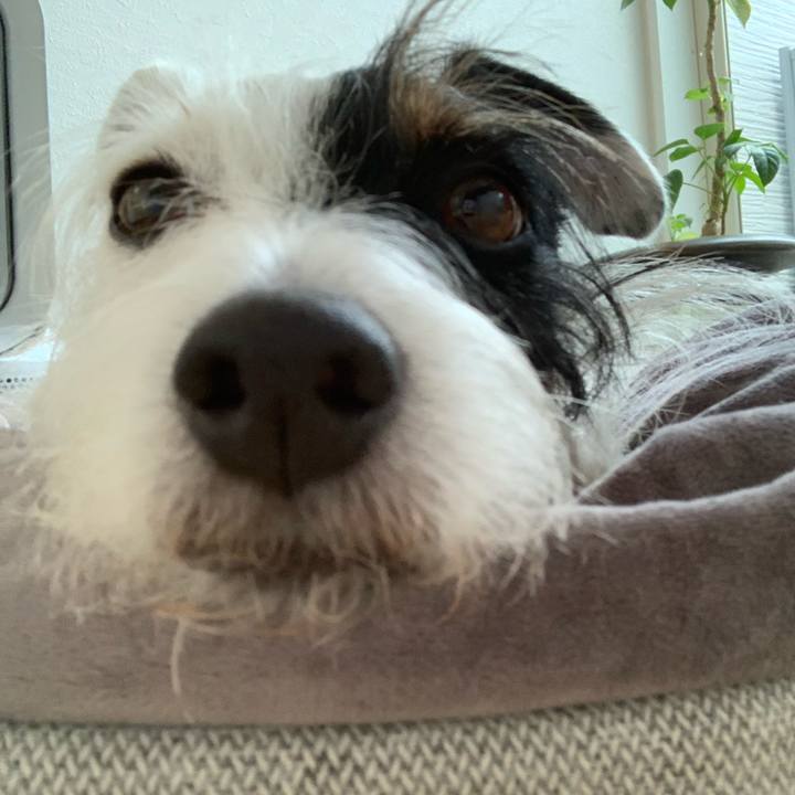 600e4e5c 6e60 465e 92c1 0da1839117e3 1603420838143