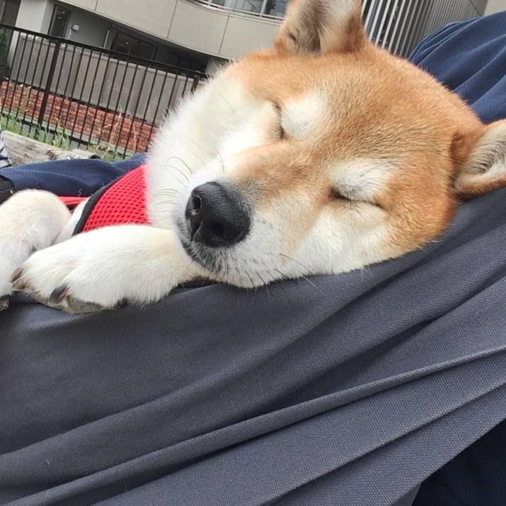 600e4f08 abea 4753 8cc3 7f0fe1b39d97 1593756833923