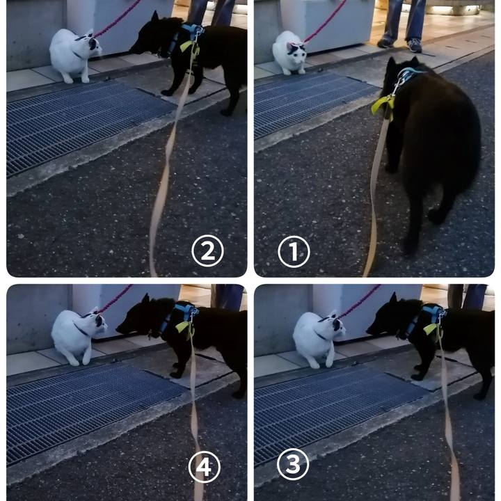 600e6f50 0808 4707 b5cb c1c1b97de47a 1664703338556