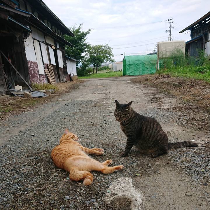 600e8408 8426 4a0e b020 9e55791ff856 1658732646256