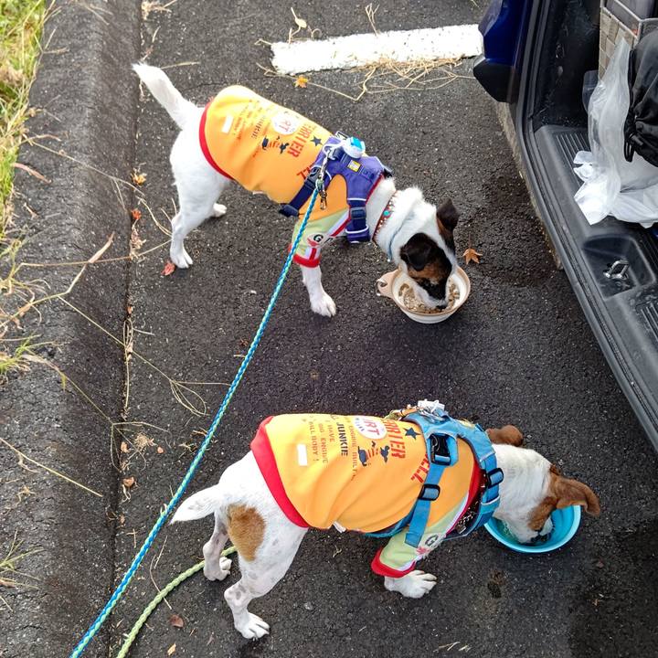 600e9a4c 81c7 406f 8f2a 9f0234b22306 1633819117414