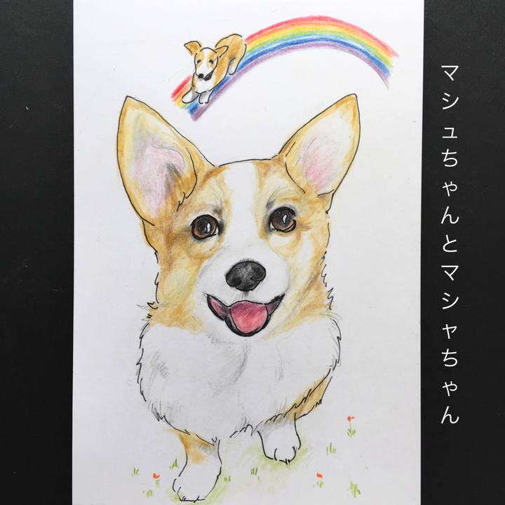 600ea124 010a 42c5 9106 6bfe3c32fec6 1568687570582