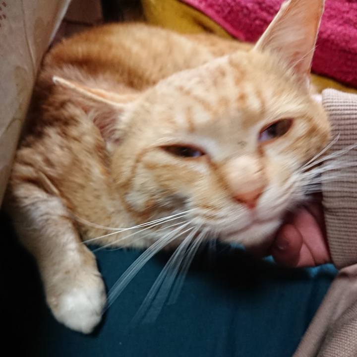 600ebe51 e4e2 4df3 9702 02af87f5d41c 1555819845587