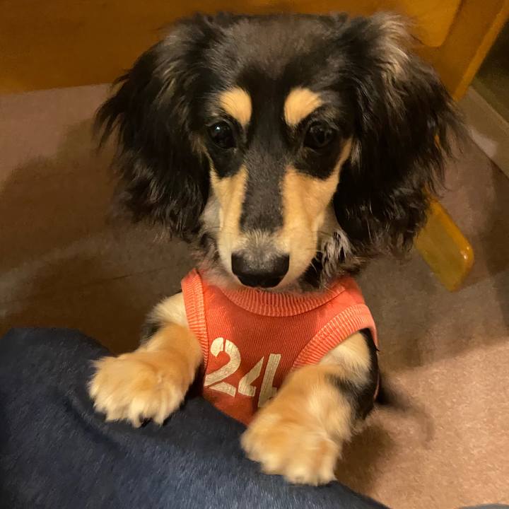 600ee8b8 c513 4bd7 8c03 d525cc8e3bef 1676977967354