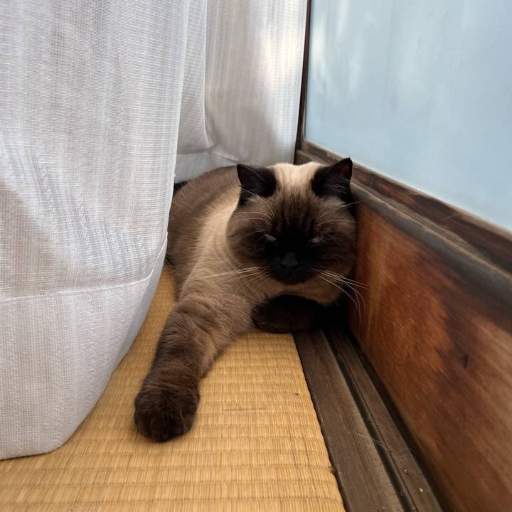 600ef33f 94a2 410e b5b4 d6982d5343b0 1640841471215