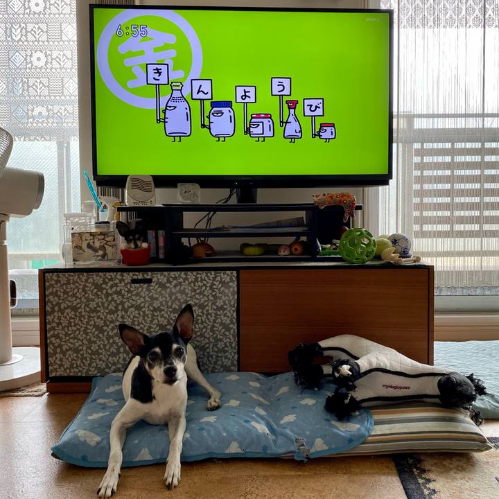 600efc15 b85f 47ef 9980 7f0a32e8d755 1626387279048