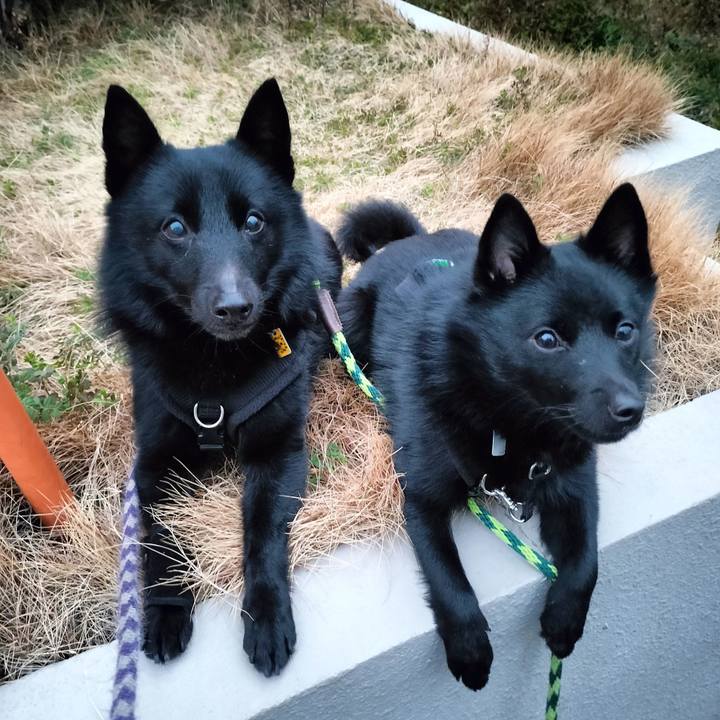 600f2b74 dae1 42e0 b1ec 0126d49e674f 1771193415196