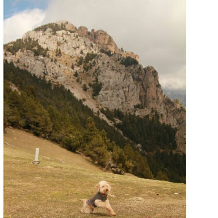 600f2cd1 dfa0 4411 987d 26ec76188ffa 1556626821828