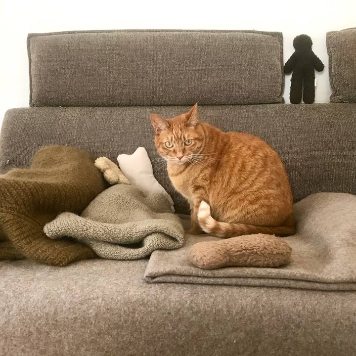 600f39e8 0561 4f23 904c e2af9abb2b8e 1515044105952