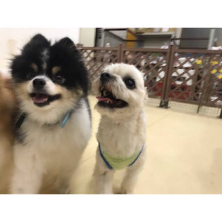 600f4d5d d671 4b72 98a9 810659e04523 1539687142875