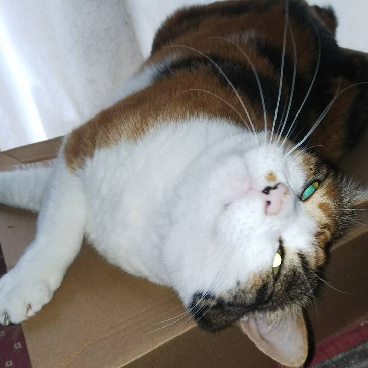 600f7726 3d6f 4380 9822 cf5b8ccab275 1534034061873