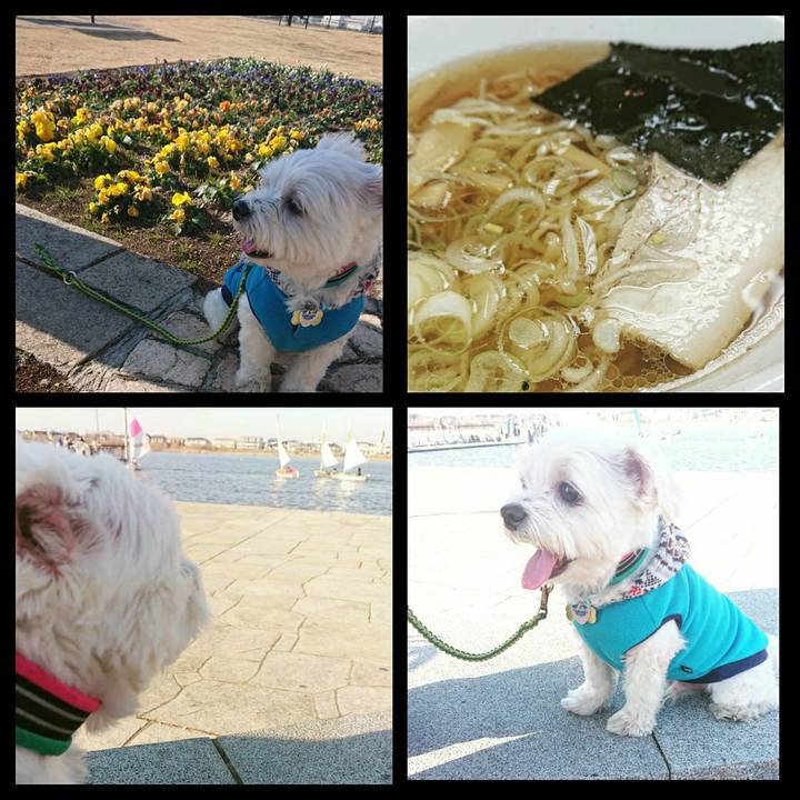 600f838e 769d 469d 8417 f00d62f4649a 1547378327015