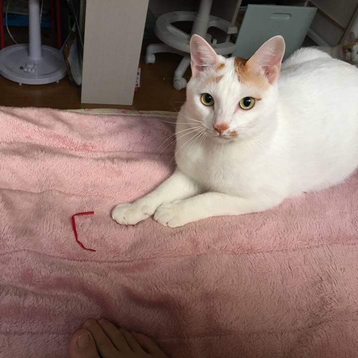 600f87ee 5c20 4e02 a719 feb842743c6b 1539726756770