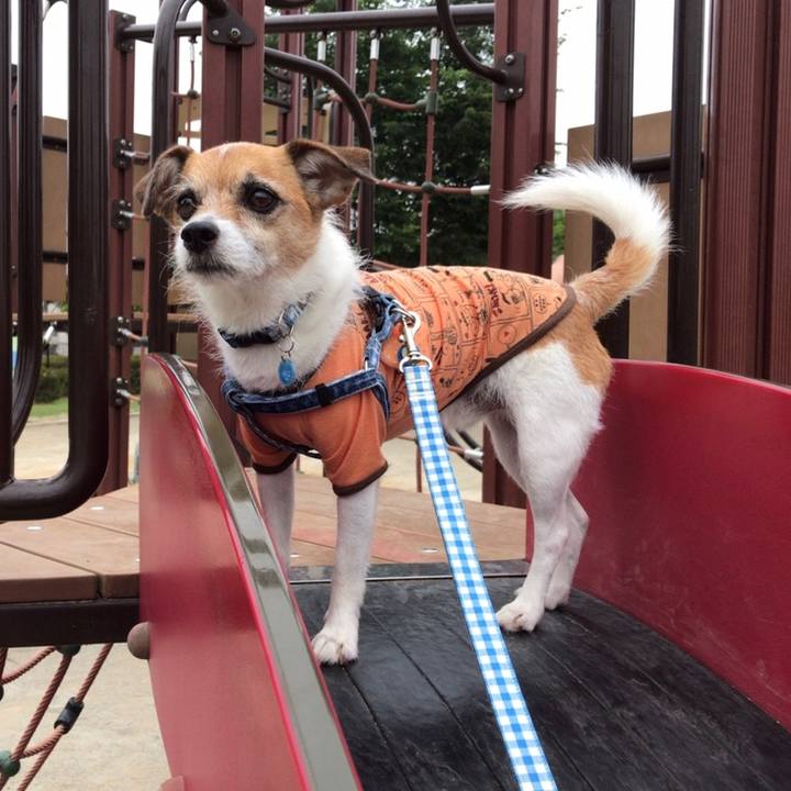 600f987c 10b7 4e98 bd7e c02f803744a0 1559858407780