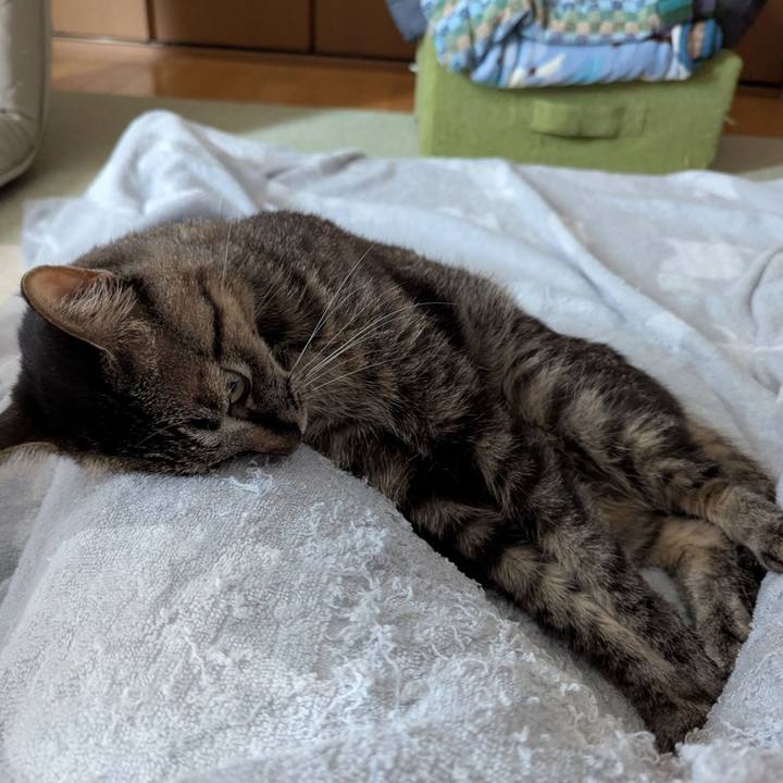 600fab3e f54c 41b8 bb1a df4c148990fa 1758853923184