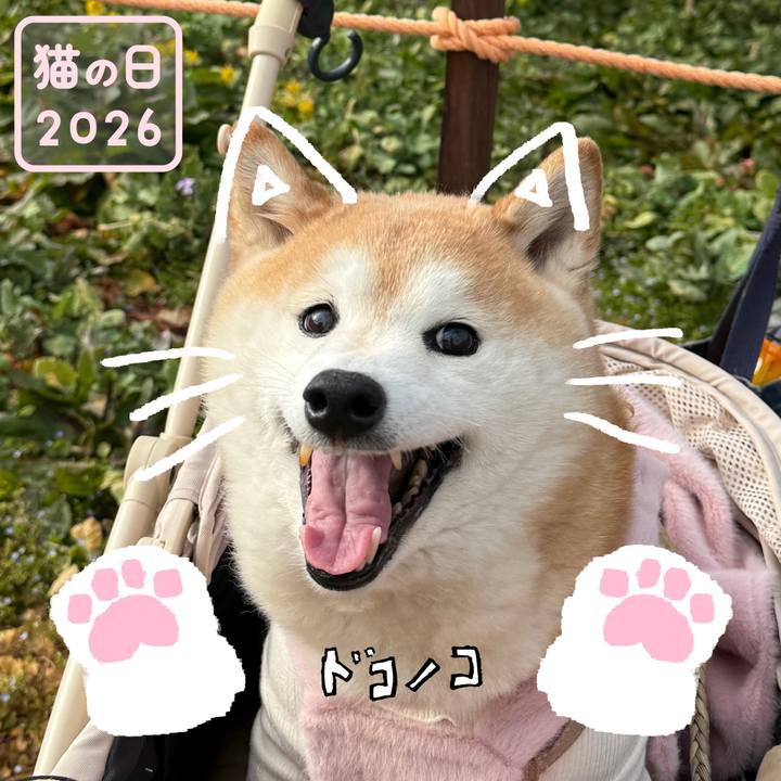 600ff748 dc2b 4e2c 8e76 dceb78eff664 1771719007562