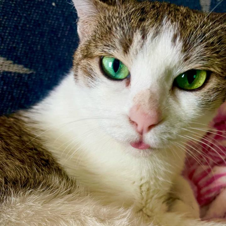 601007bd de20 498e 8e4a 23e48db55777 1626504208389