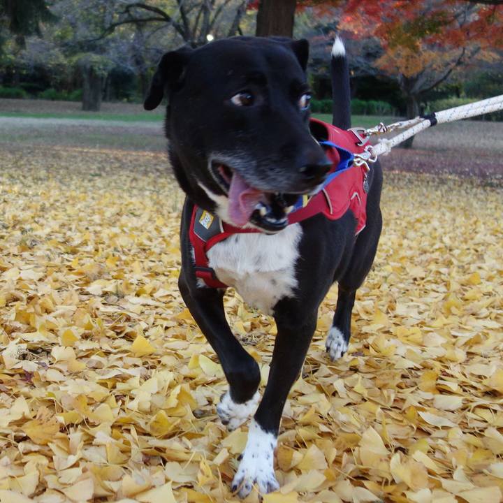 6010140e a281 4d51 b0fc e8dccfc2ed07 1669506000914