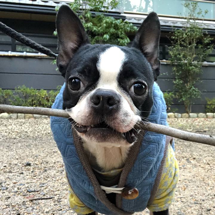 601015e0 9292 4871 bac4 4974c3eb13a3 1515632947455