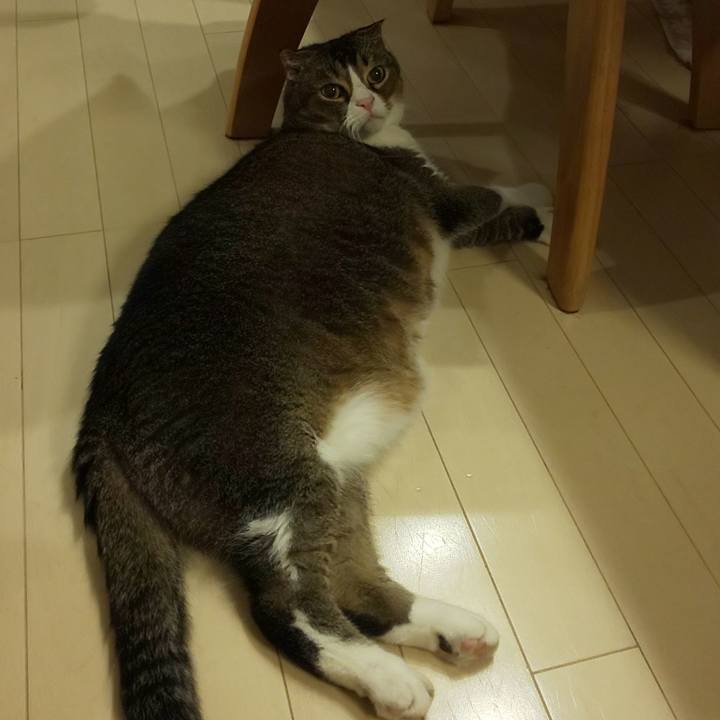 60105b39 28ee 4974 81fd f63920a464de 1686317026092