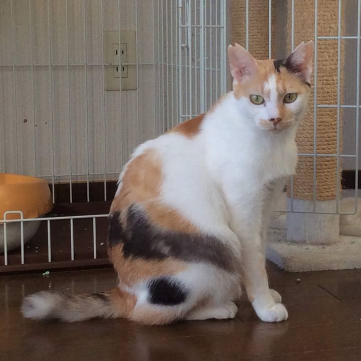 601061b4 dacc 4bf7 aaf1 876367a90424 1553225741594