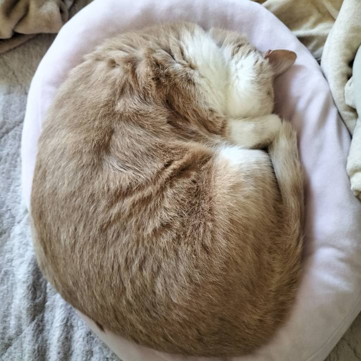 6010640a f416 4be0 a169 400e8e455a93 1636781584434