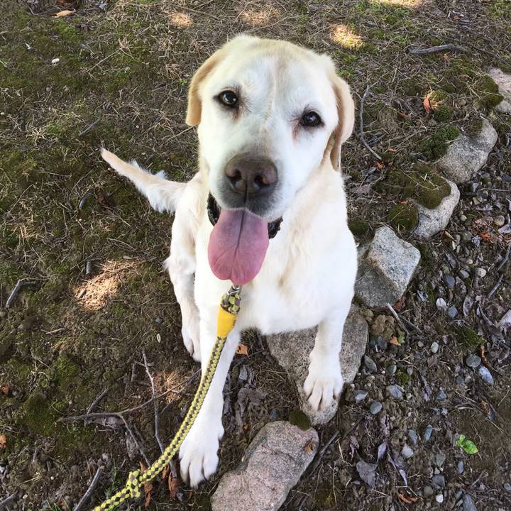 601066e4 0a60 4973 a9f5 d761b4dea65c 1529795102764