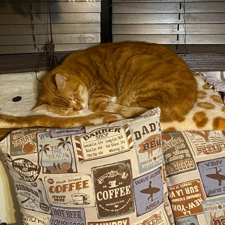 601091f3 79ac 446c 8ed4 3b1b1141cecc 1615657228727