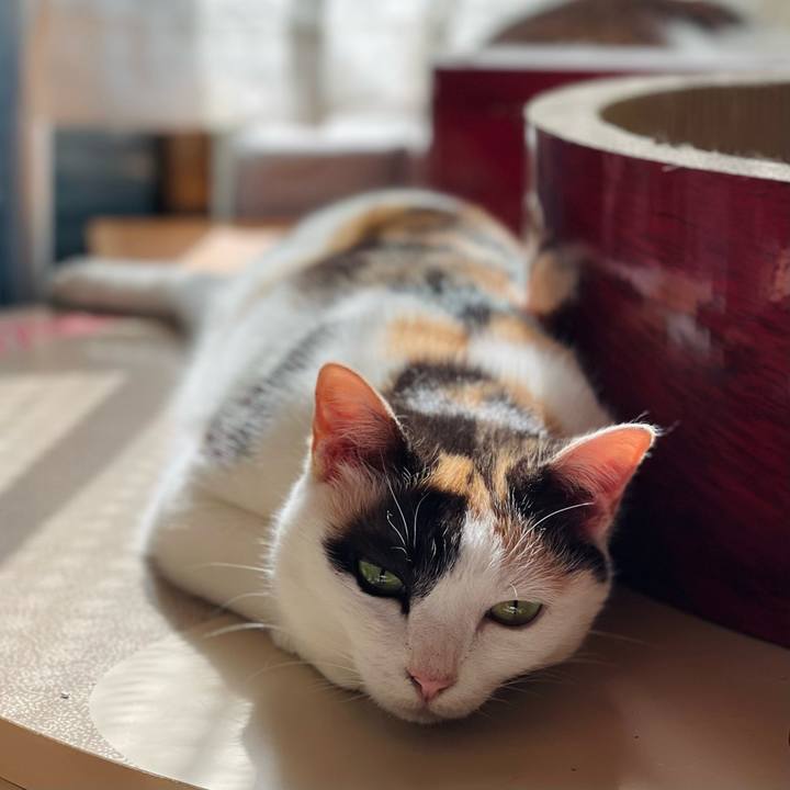 60109647 3be8 4494 b16d 4aebd13b2a3c 1656467861461