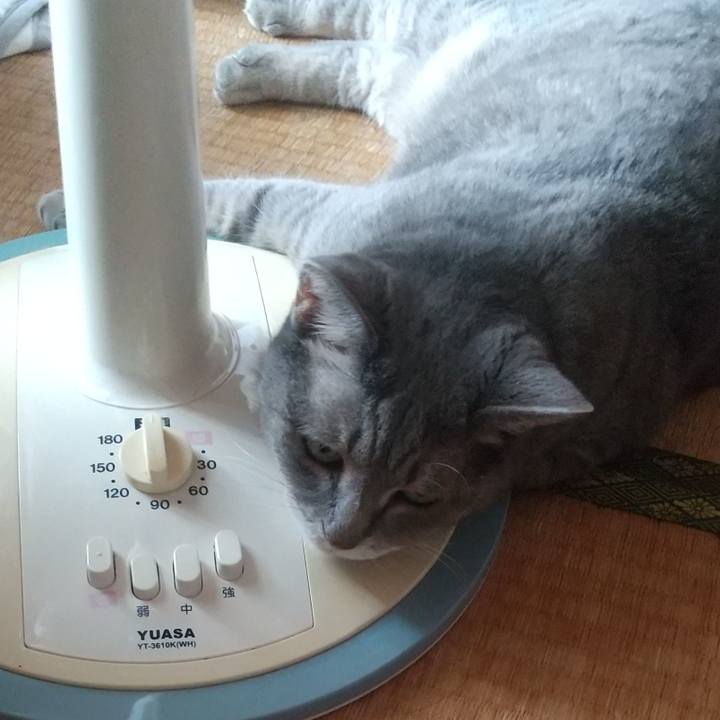 60109ec9 8a9e 42c0 b991 2ad7efe78eab 1629599646190