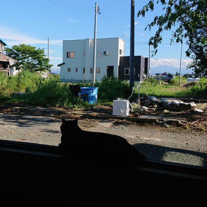 6010bd3a 1f27 42ea 80ce f9e7a77723f6 1662274864739