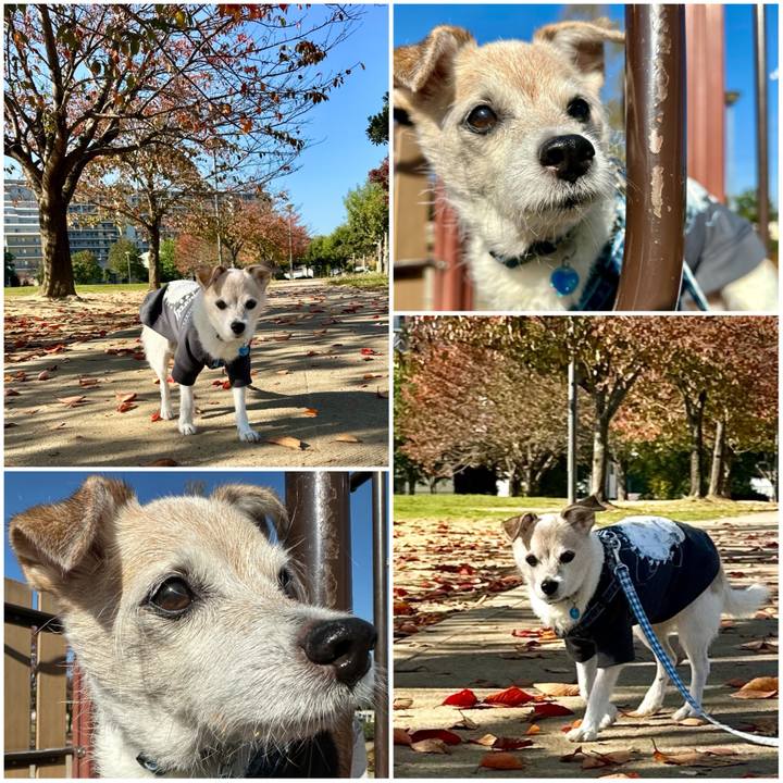 6010c101 9664 48dd b504 82c7006391b5 1763347224732