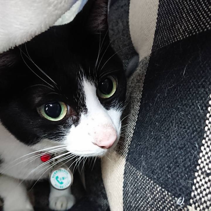 6010e251 42a7 4e88 a120 e2197185ba2b 1666398151225