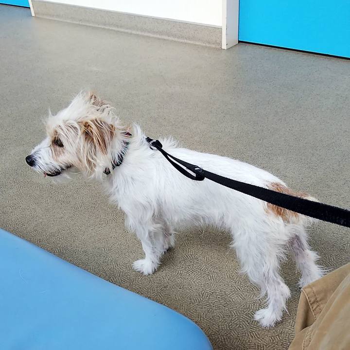 6010e276 83dd 4f2e 8550 bee97cfa752d 1561273060990