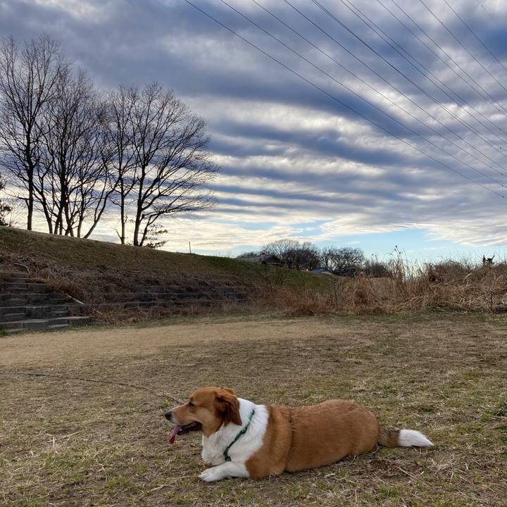 6010fabe 7d74 4841 a57b b12548d1f534 1708093645621