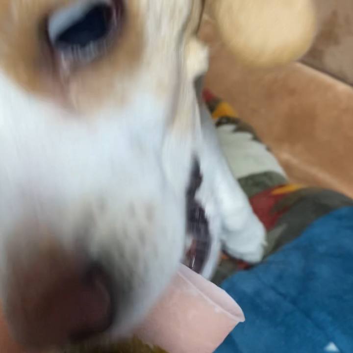 60110988 d044 4bfa 81b7 ce324928605c 1646306519879