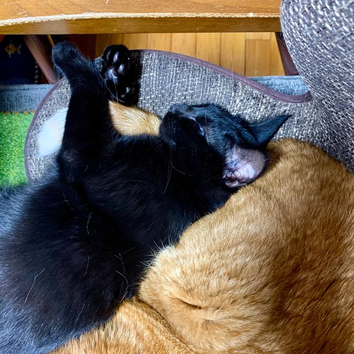 60112cd7 e6e2 4f64 9575 826fa9b589bb 1654399956585