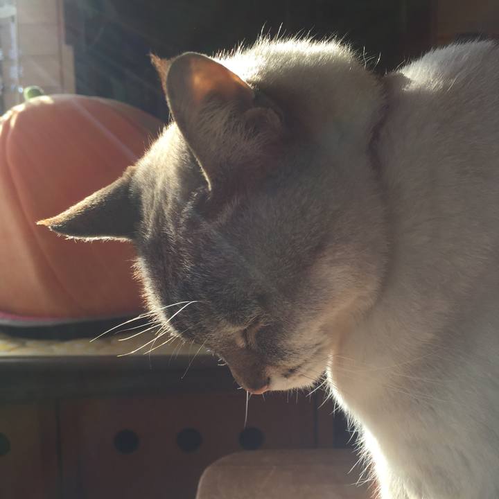 60116237 1e0a 4485 9fb2 32aee8c65631 1516861535923