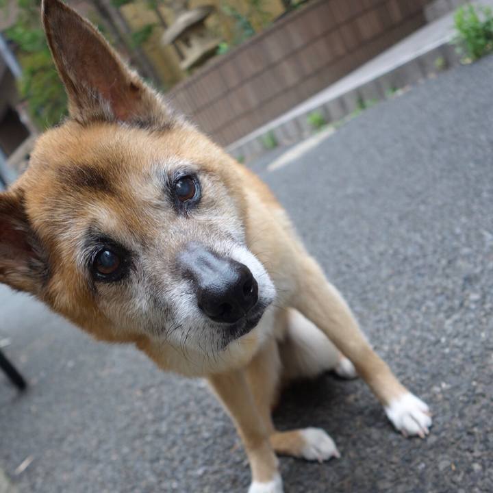 6011879c d846 4297 9322 f8564e6092a9 1592310147332