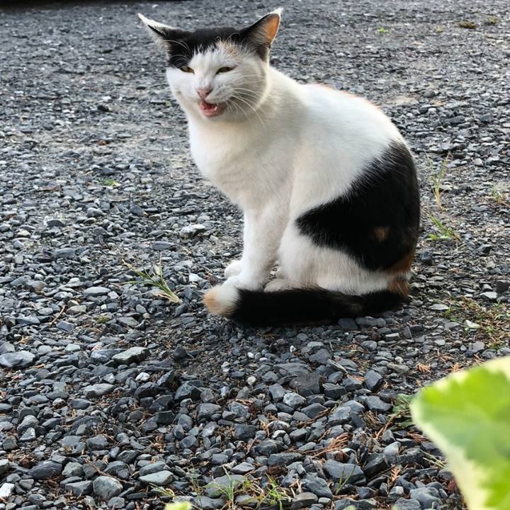 60118c85 f43c 4928 9176 1c774f43a3ef 1601504297770