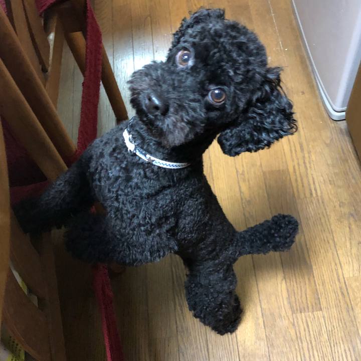 6011ba7f 6db4 4d7e 8ac2 4553c3bf0ab1 1536100263817