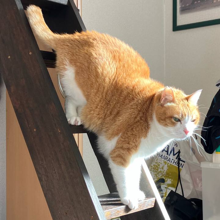 6011be51 aa8b 4376 a059 11dc6ef25258 1774157520188