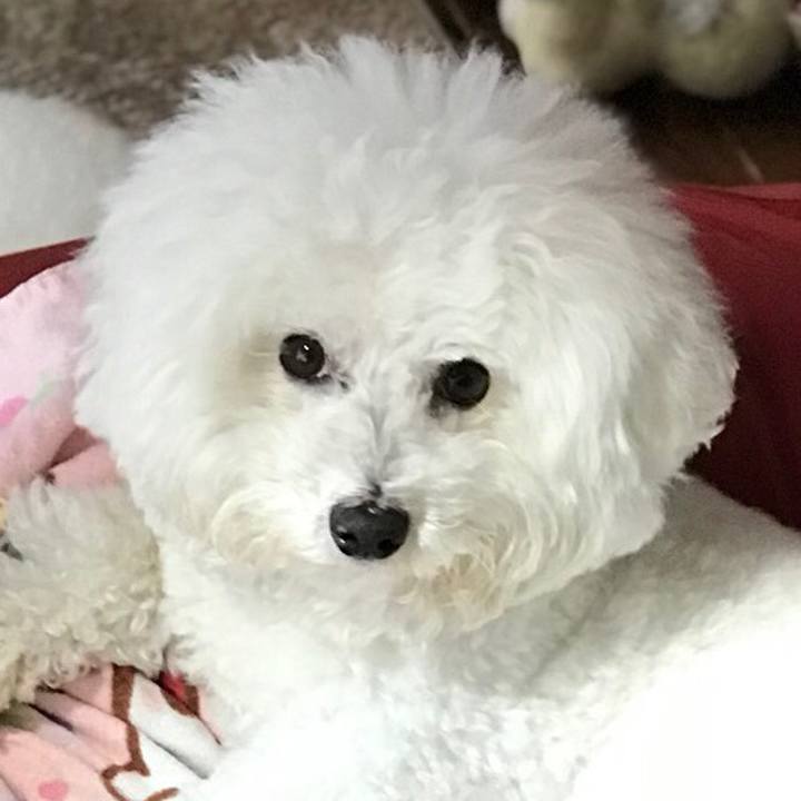 6011de72 cc83 43ed 96a9 905213488ef7 1554945457842