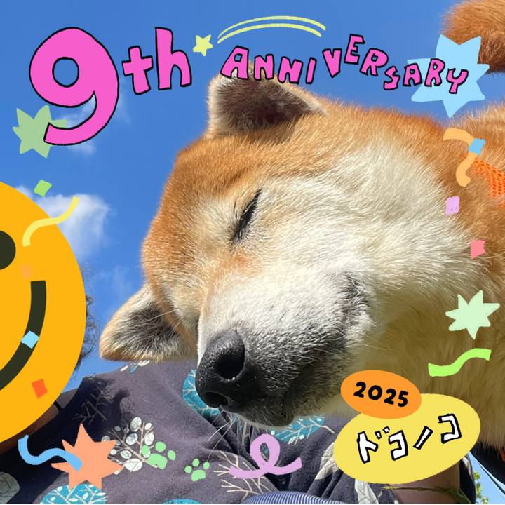 601205c3 e434 42da a9ec b8d263494fdf 1749553547036