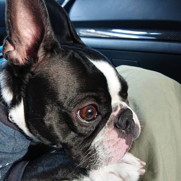 6012162d 5513 457a b75b 11e013d4369a 1553402531753