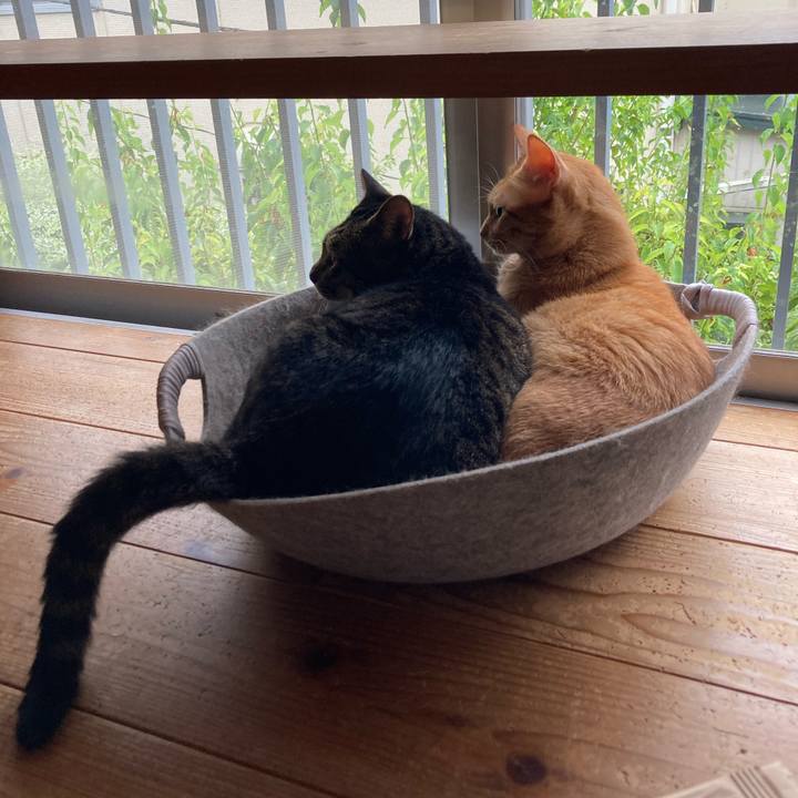 60125eb3 dbf8 4cea bfc6 d9cf0658532a 1693917996789