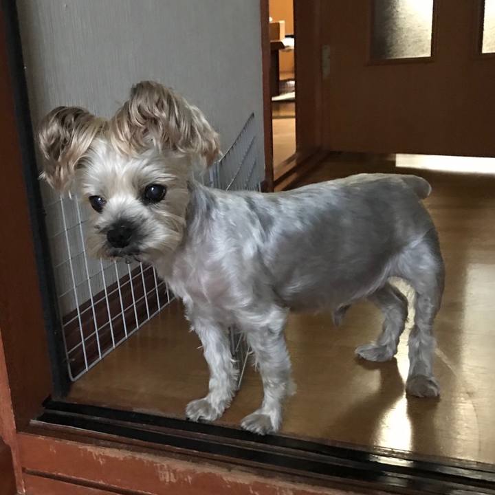 601269ea d8ca 4648 90ea 6b25d7551dab 1565085592897