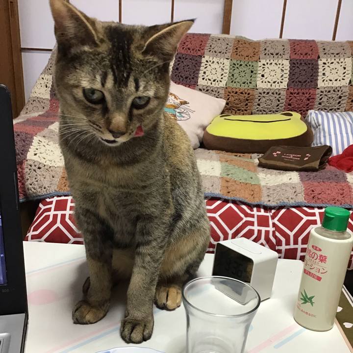 601297ec 6a87 432b 8d34 2fada467c445 1578357849797